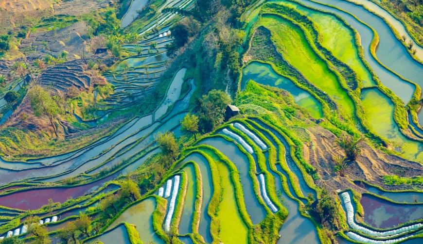走进兰西县TVC拍摄：解锁本地化场景与创意镜头的完美融合